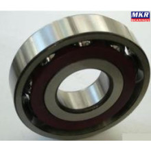 Angular Contact Ball Bearing 7300A